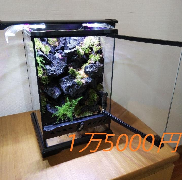オーダーメイド】滝のあるアクアテラリウム 苔テラリウム アクアリウム