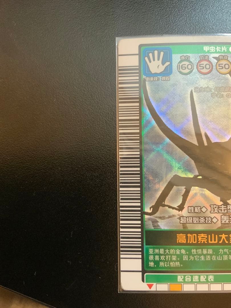 コーカサスオオカブト 中国語版