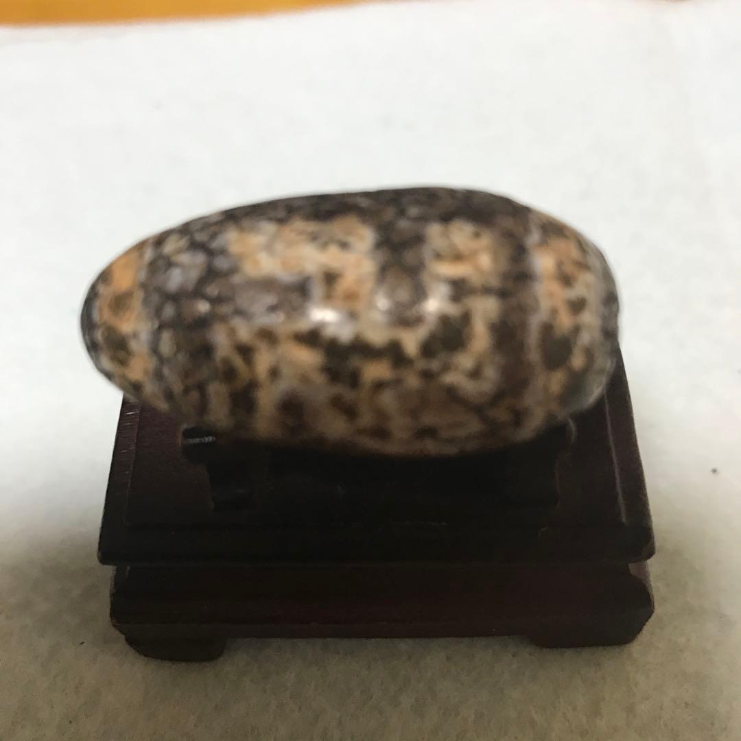 超激レア珍品‼︎ 古代老礦石　龍紋　たまご型卍一眼天珠　マニア向けフジヤマ