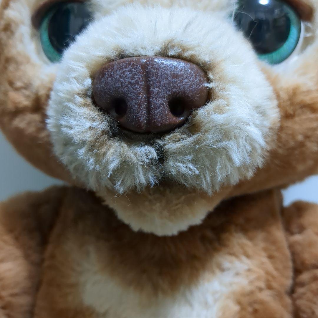 ファーリアル　こぐまのカビー