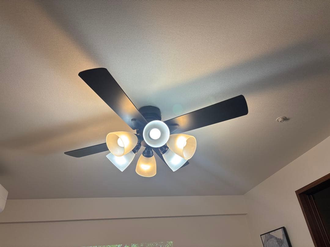 ラスボルタ シーリングファンライト