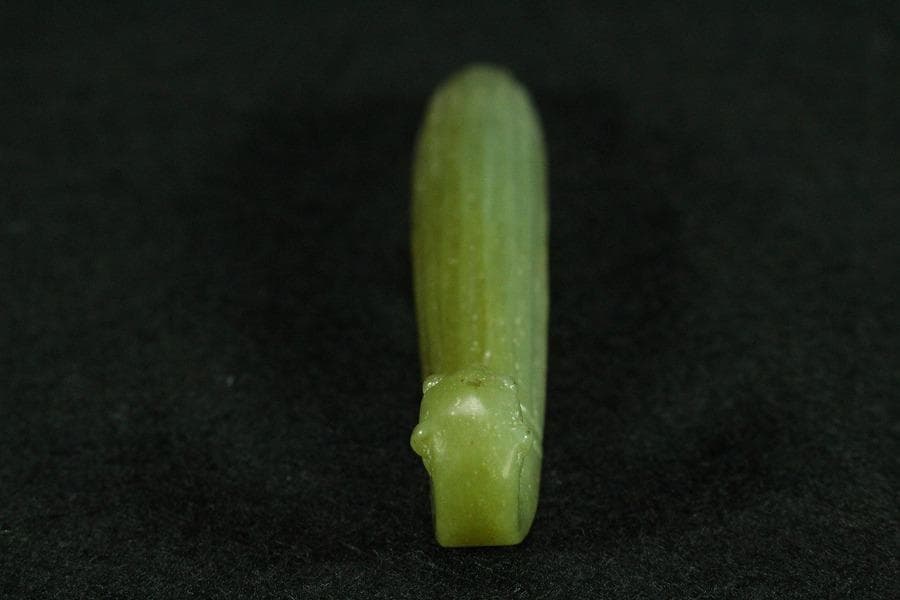 中国美術 砡石 帯駒 コレクター蔵品(K-YC540) - メルカリ