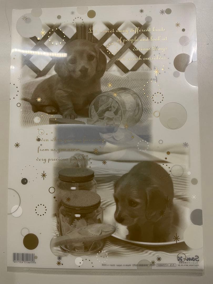 平成レトロ サンエックス クリアファイル 犬 8枚セット