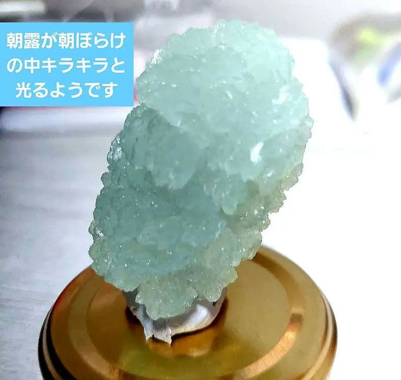 ビビアナイト 貝 鉱物 標本 原石