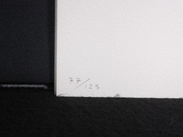 現代美術 菅井汲 直筆サイン『VARIATIONS Ⅱ』 リトグラフ 0723Y