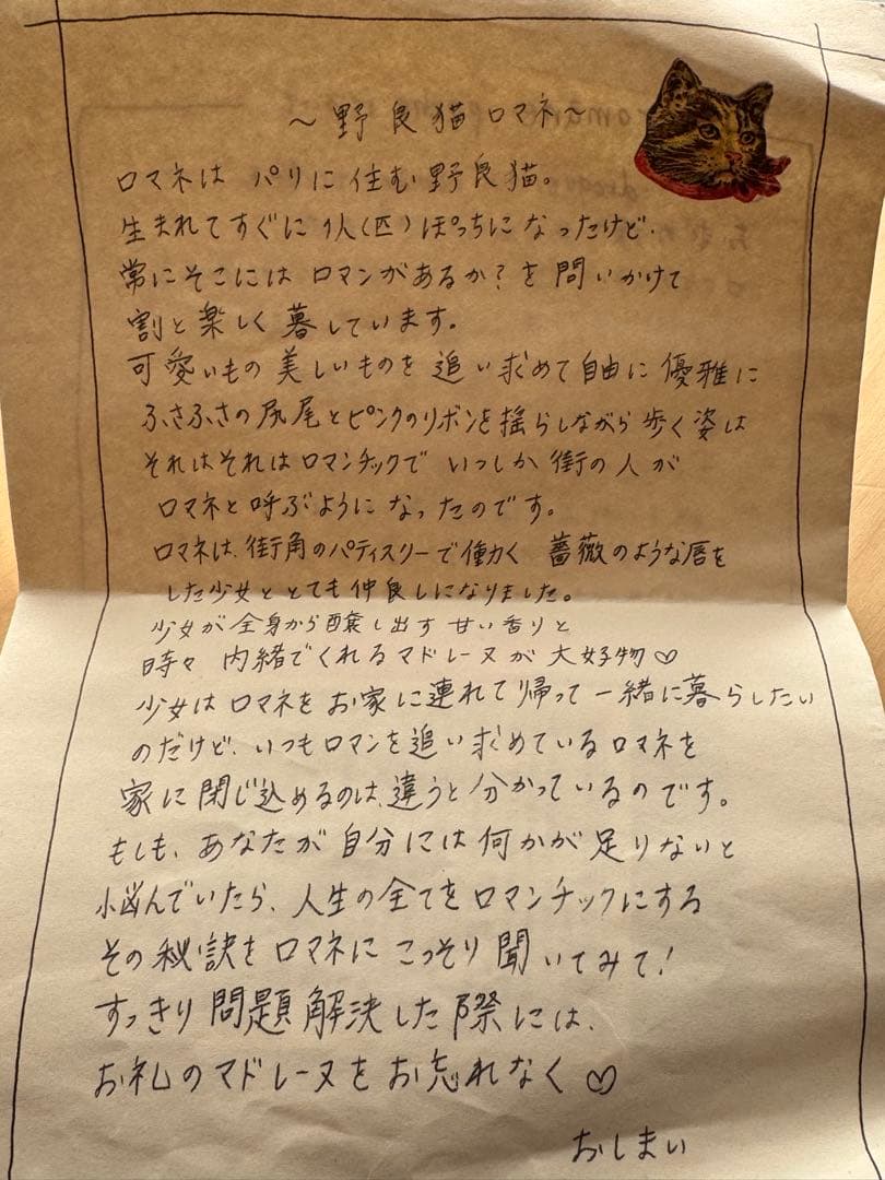 droguerie ロマネポーチ