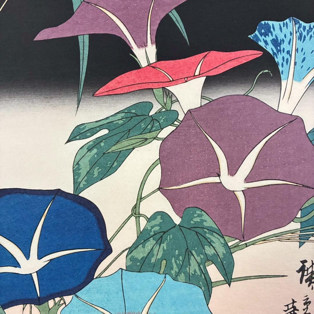 美品 歌川広重「四季の花尽 朝顔」木版画 団扇絵 浮世絵 錦絵 額縁
