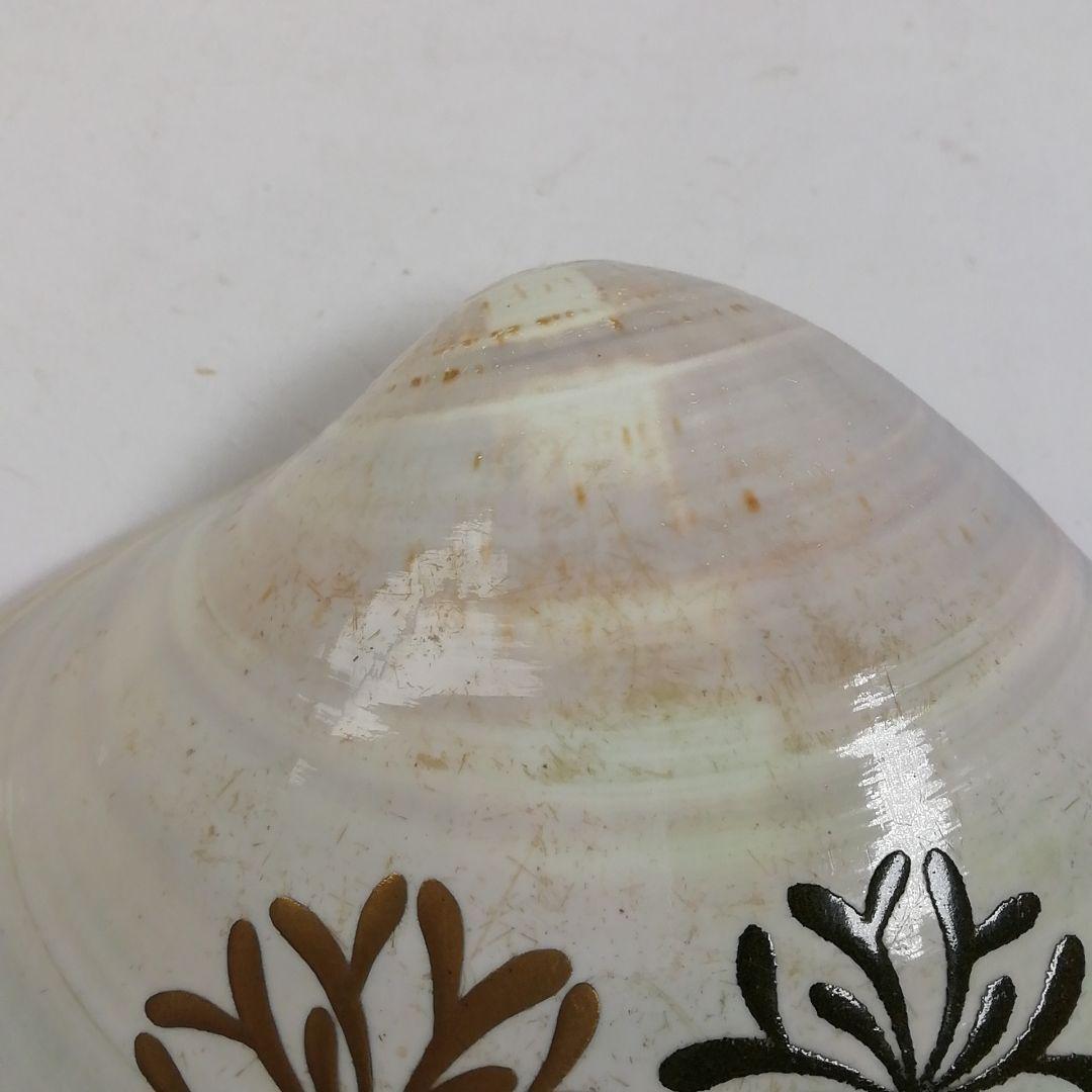 T747 香合 『海松絵 蛤香合』『伊藤表正』 共箱 茶道具