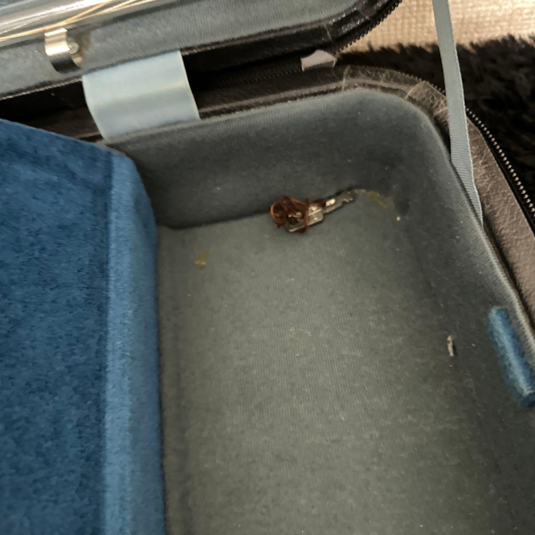 ESPRI UL バイオリンケース 4/4サイズ 弦楽器 東洋楽器