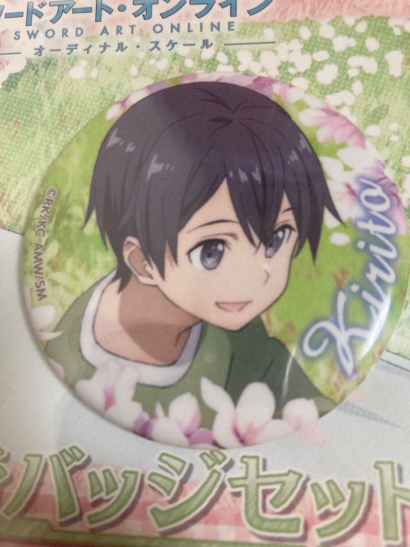 最安値　ソードアート・オンライン オーディナルスケール 缶バッジセット