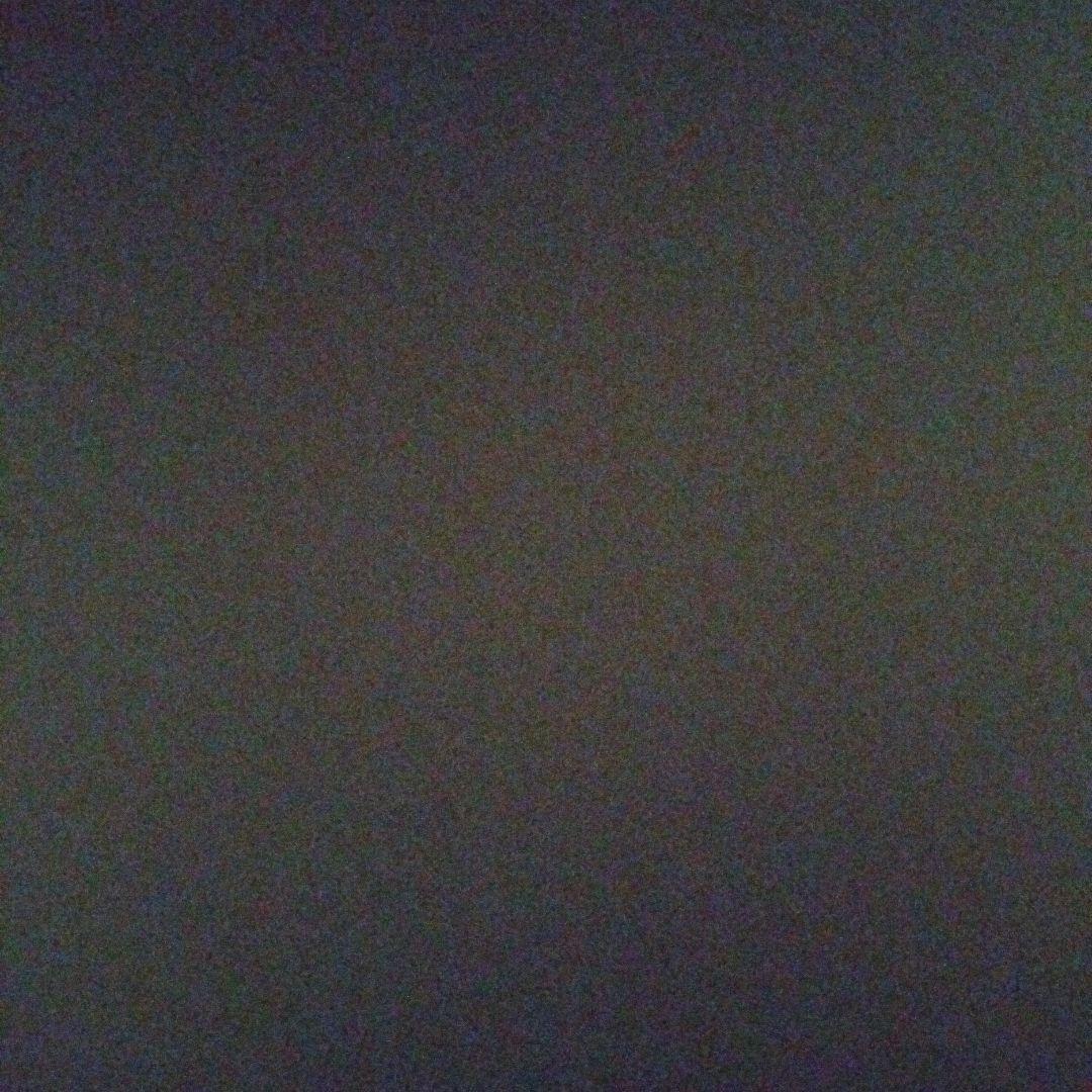 モゴモゴからはる様専用 まりも2 Marimo さま専用 モゴモゴからはる まりも