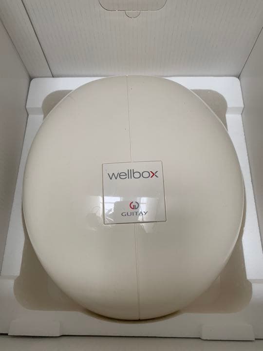 エンダモロジー WELLBOX ウェルボックス Well Box 家庭用