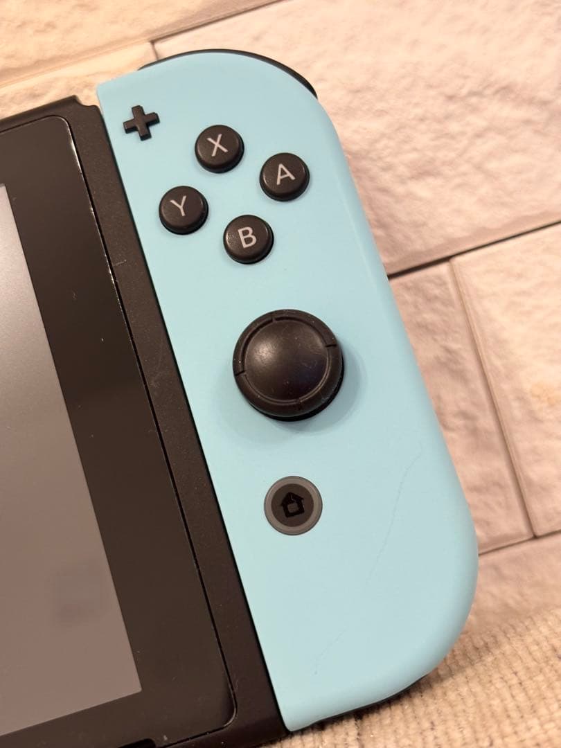 Nintendo Switch 本体　あつまれ どうぶつの森 セット　ケース付き