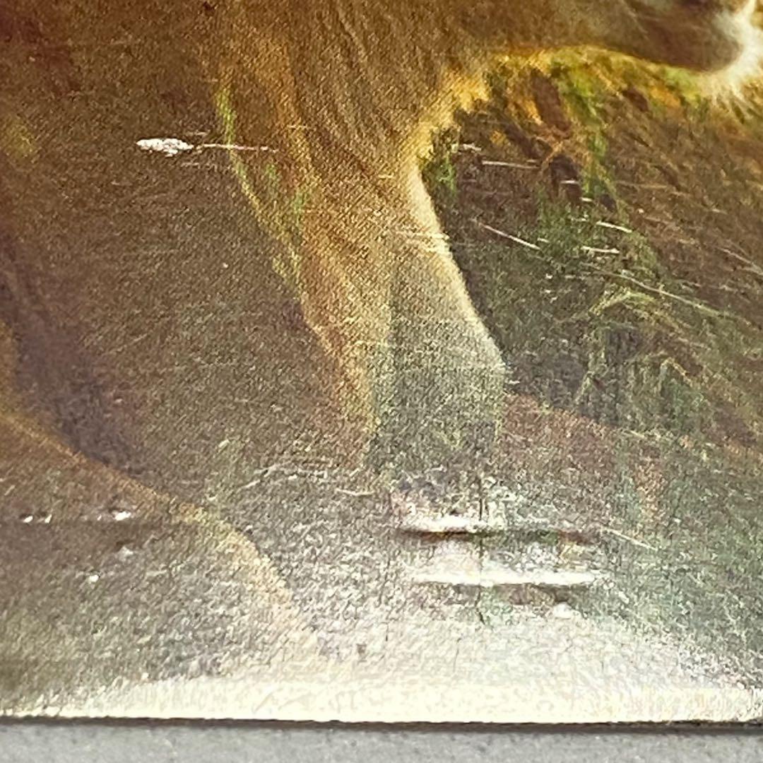 日経ナショナルジオグラフィック社　2004年　カレンダー　岩合光昭　親子のきずな