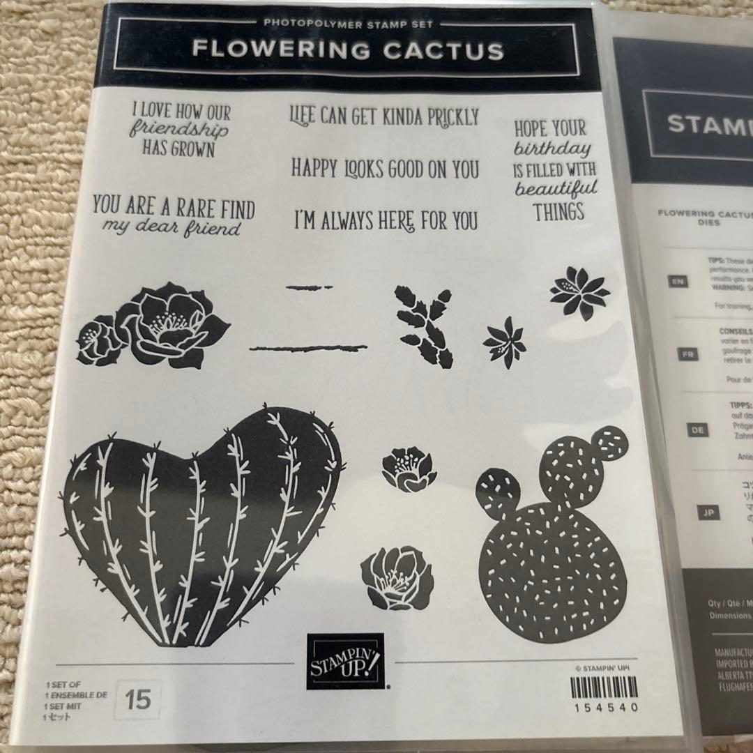 フラワリングカクタス バンドル スタンピンアップ