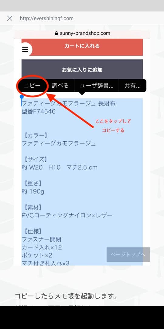 ★●特別価格●水郷田名(神奈川)の風景画　「水郷田名三丁目の春」油絵