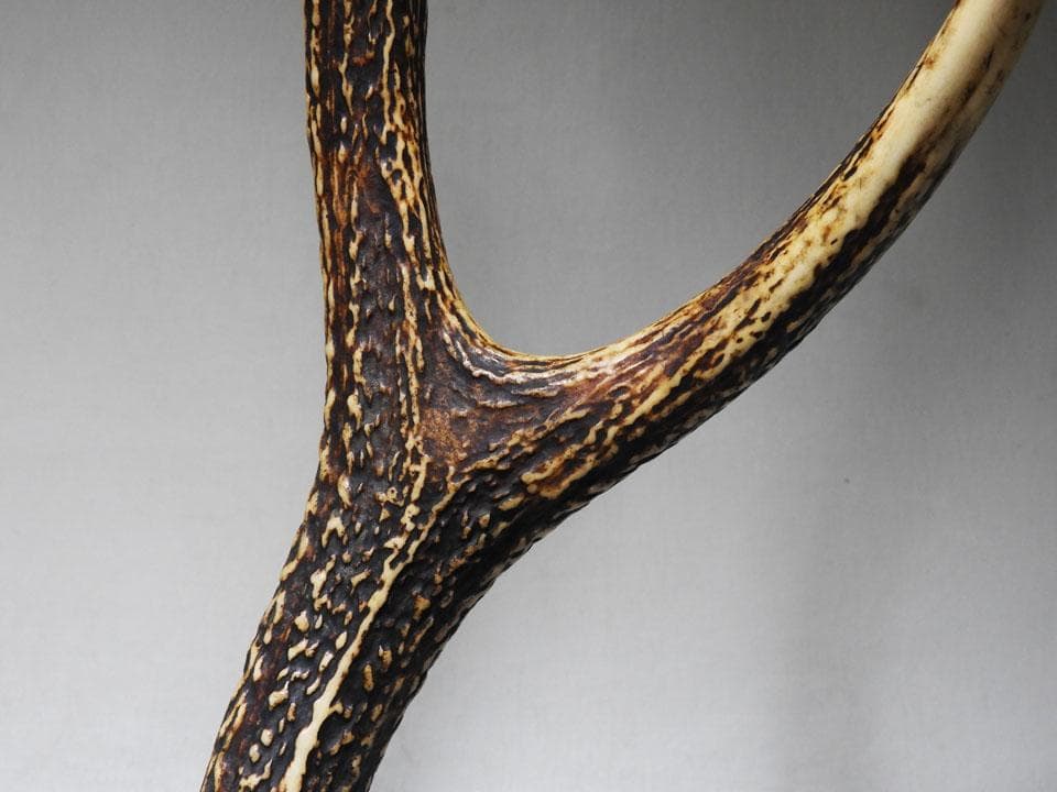 ●逆賊の幕臣 小栗忠順 小栗上野介忠順 所要 墨書 鹿角 刀掛け 三刀掛け 幕末