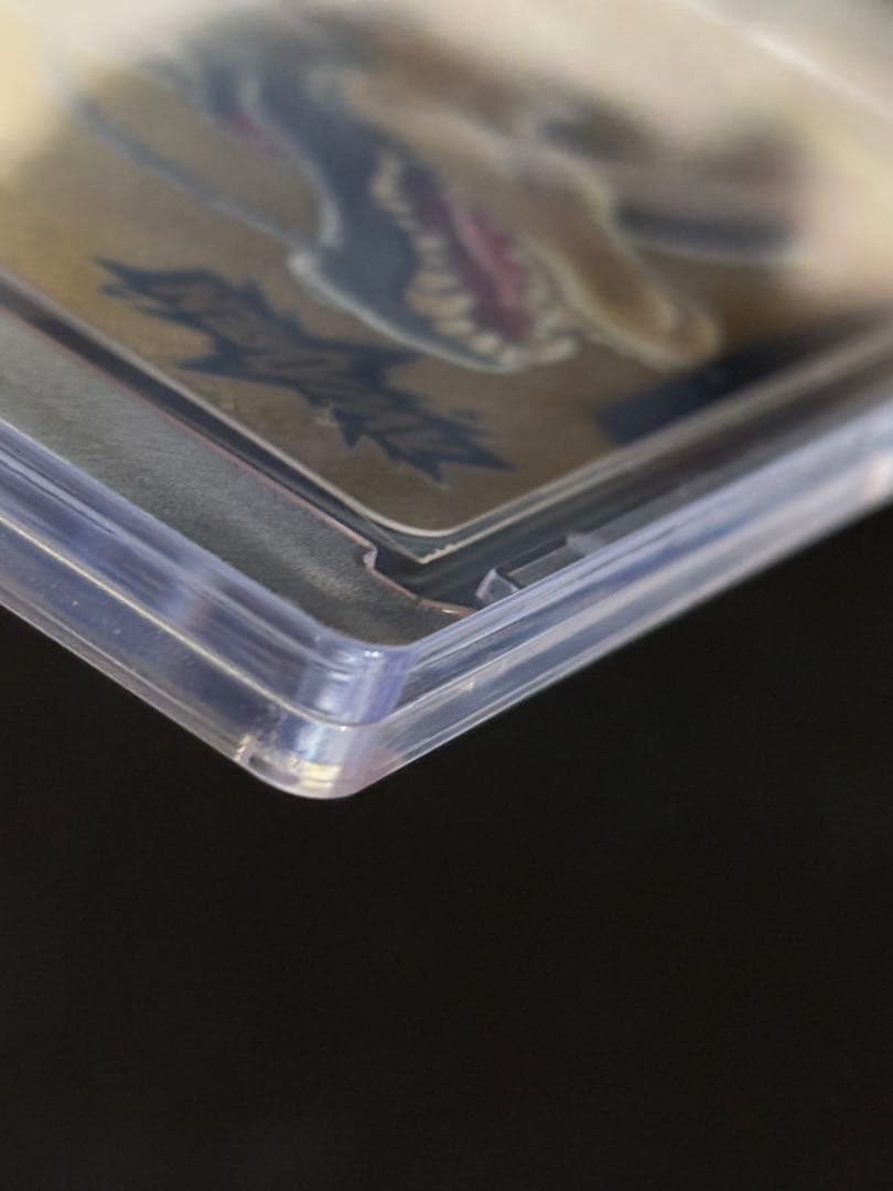 神龍　リーダー　パラレル　マンガブースター02 ローダー