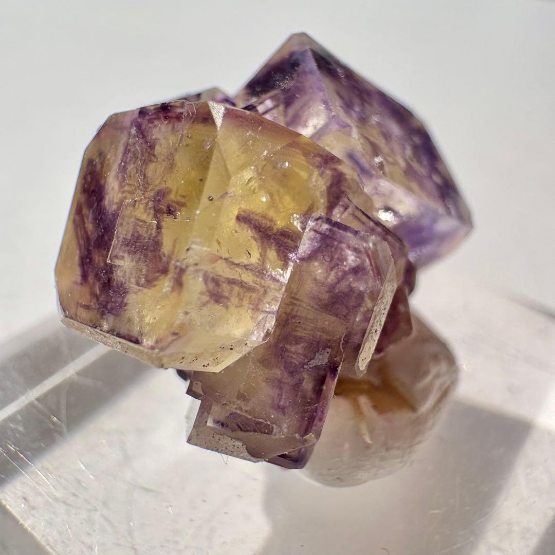 498 ナミビア パープルバニーポケット フローライト