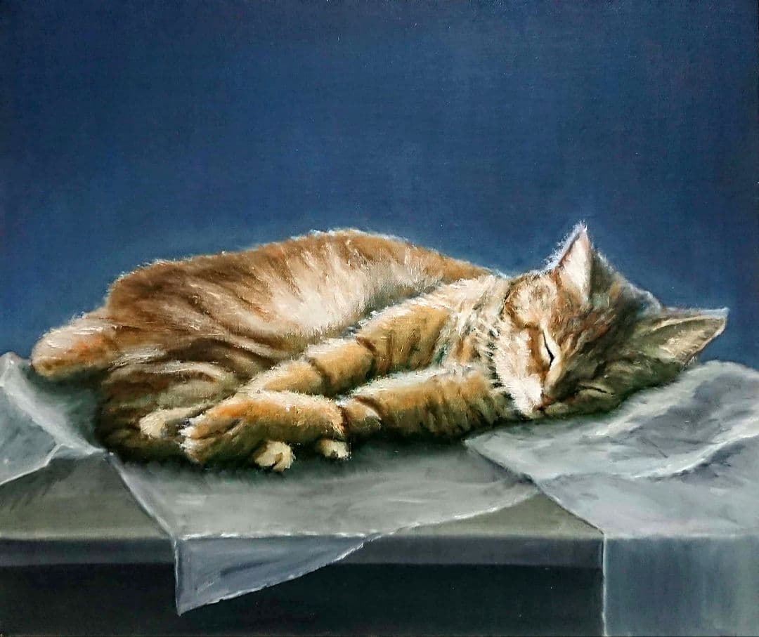 油絵 猫 油彩画 原画 手描き 絵画 - メルカリ