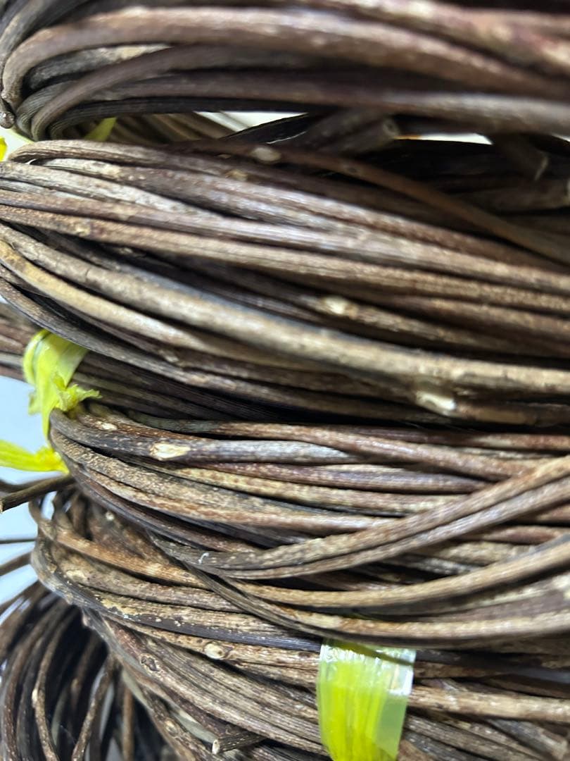 青森県産のアケビ蔓 2kg