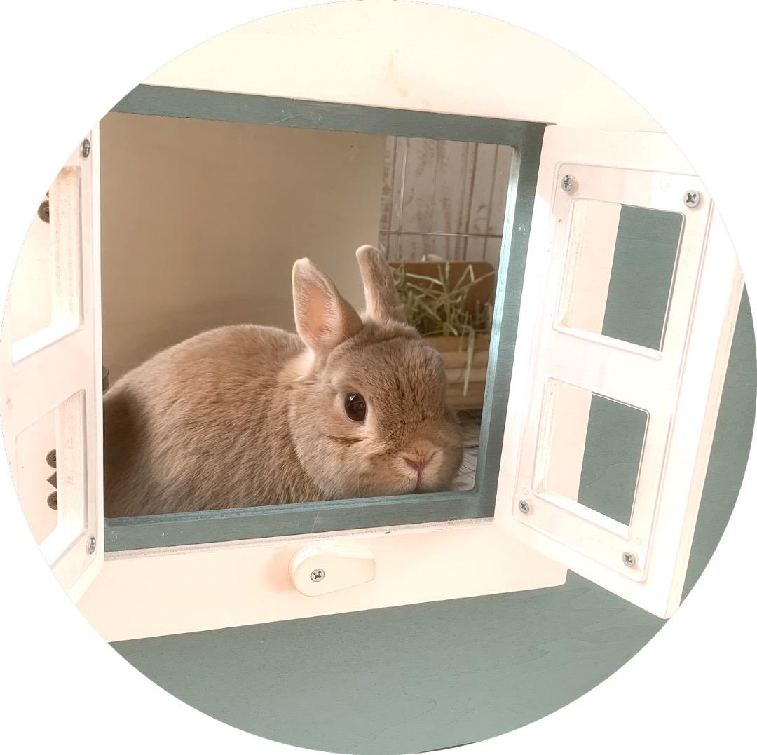 もちつき】壱番館 北欧デザインペットハウス うさぎ用ケージ 可愛い