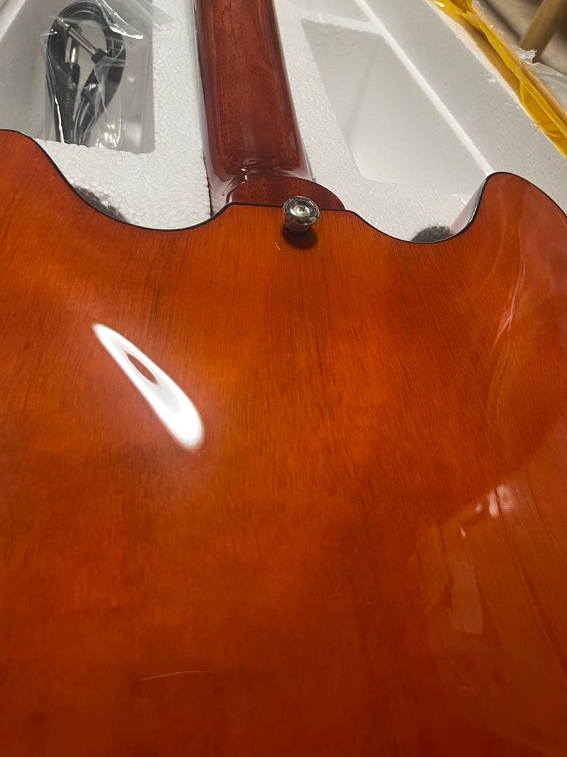 セミホロウボディ ステンレスフレット メタルフィニッシュ(ブルー)