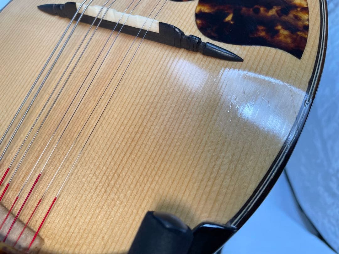 渡辺/ワタナベ ハイエンドオーダーマンドリン 楽器・機材