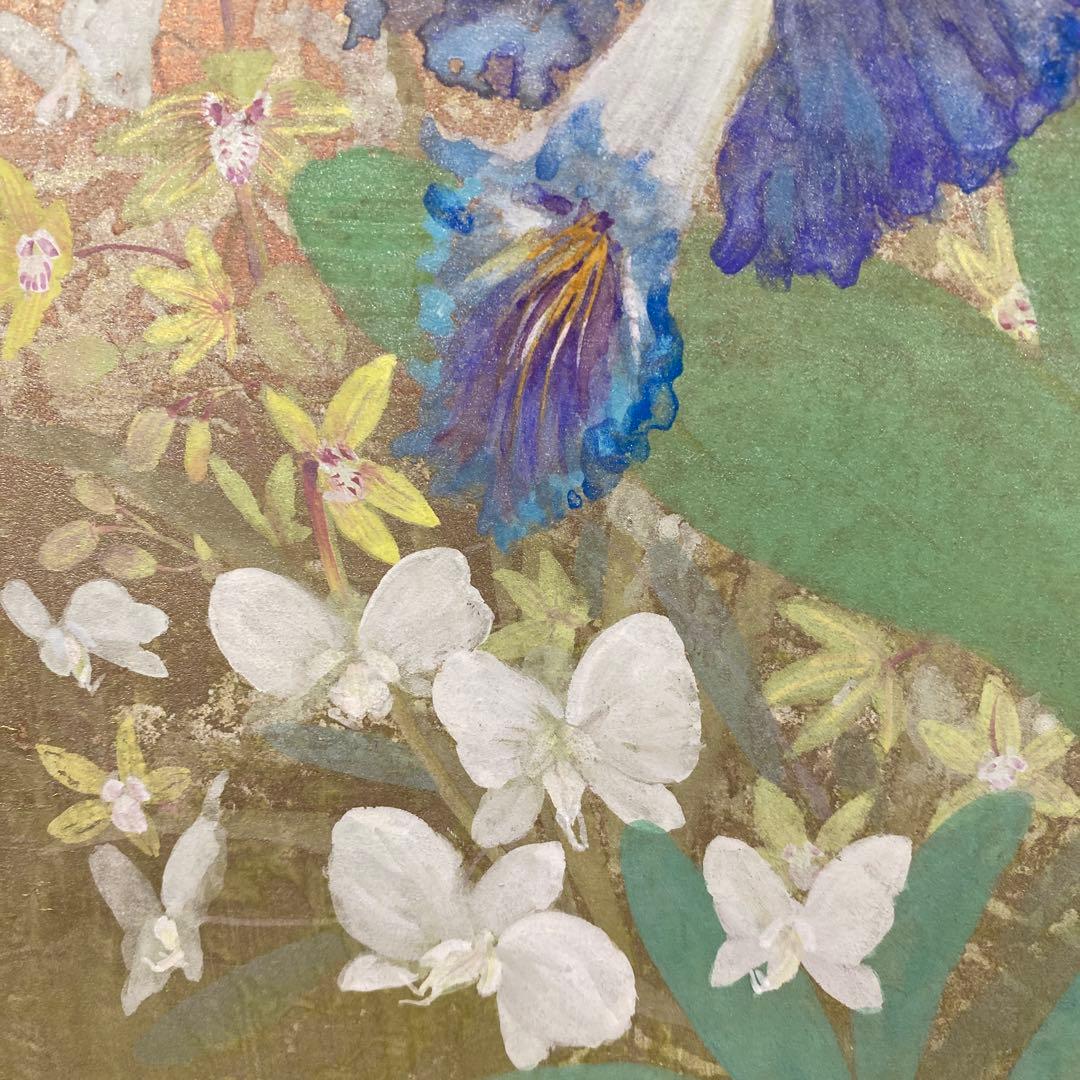 美品 掛け軸 鳥山玲作「華」菖蒲図 共箱 太巻き付 美術年鑑