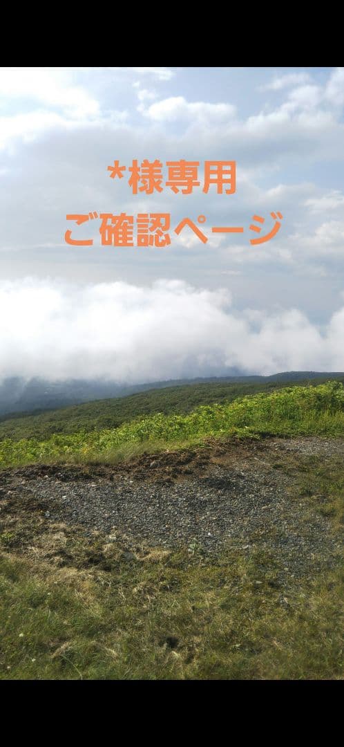 呪術廻戦　*ご確認ページ 呪術廻戦 18／芥見 下々 | 集英社 ― SHUEISHA ―