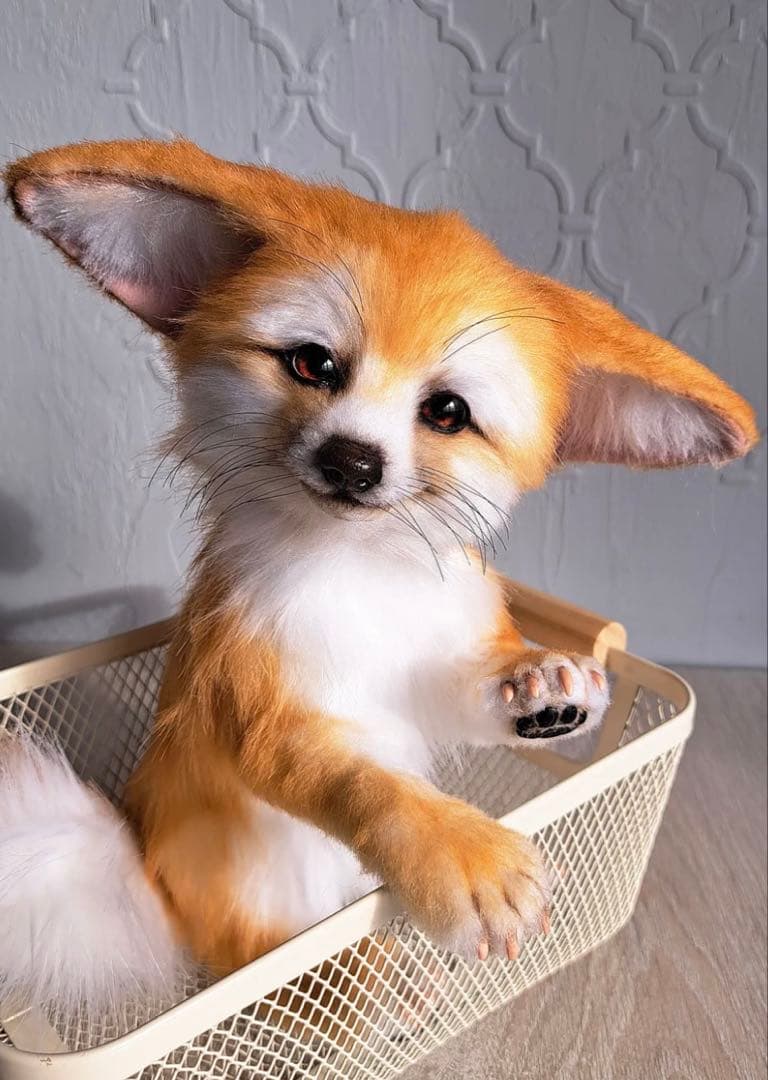 海外作家様 きつね ぬいぐるみ テディベア アートドール 海外作家様作