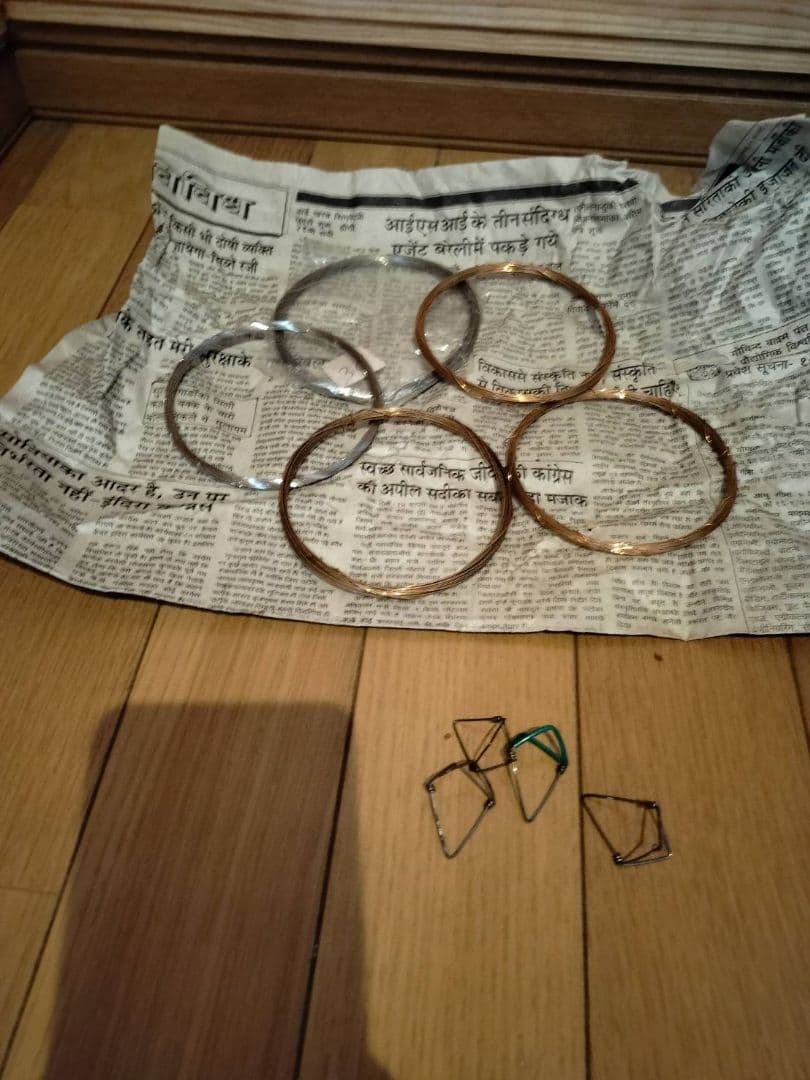 楽器 シタール インド