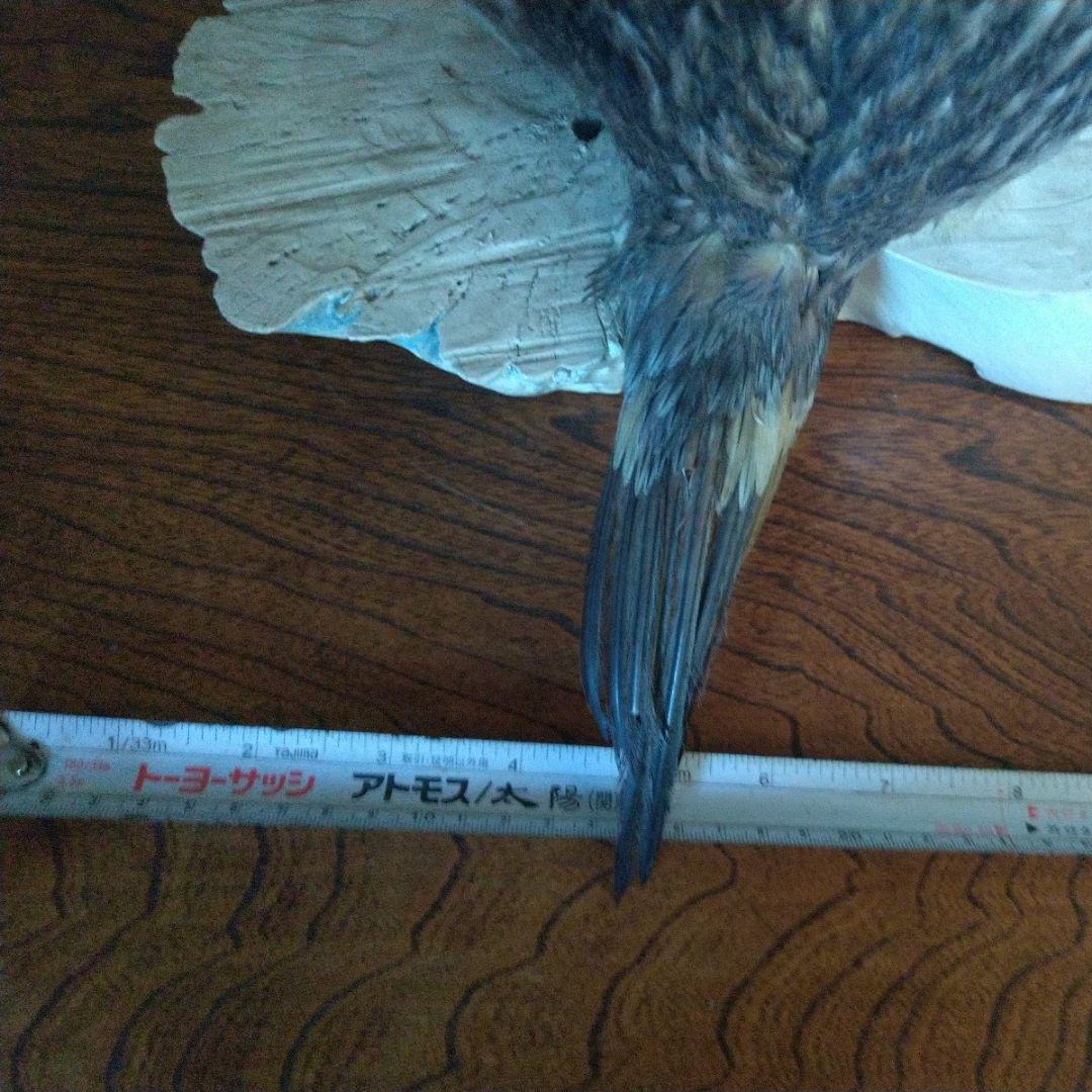 アンティークイタリア カポディモンティ 子供と鳥 実り 釣り 収穫