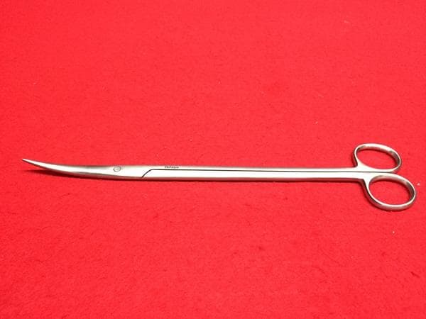 Y アクアリウム好きな方がお勧め‼ アクア デザイン アマノ トリミング