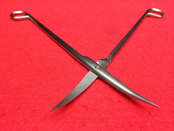 Y アクアリウム好きな方がお勧め‼ アクア デザイン アマノ トリミング