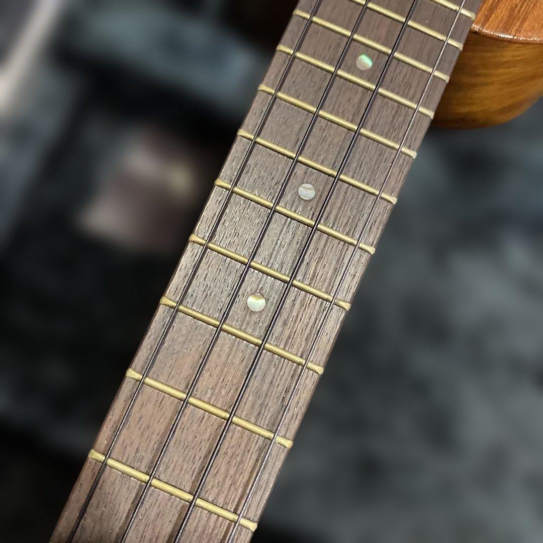 弦楽器 GString Ukulele Co HalawaValley Hawaii