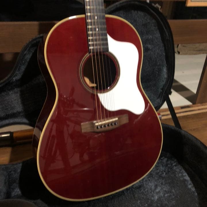 ☆限定生産品] stafford SAD-1000 赤 エレアコ