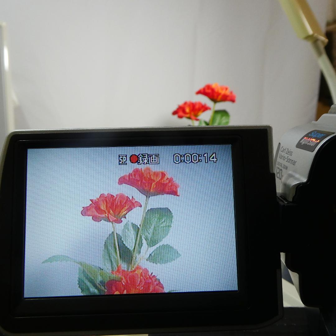 動作品ソニー DCR-TRV17 MiniDVビデオカメラ　DVDダビングに最適