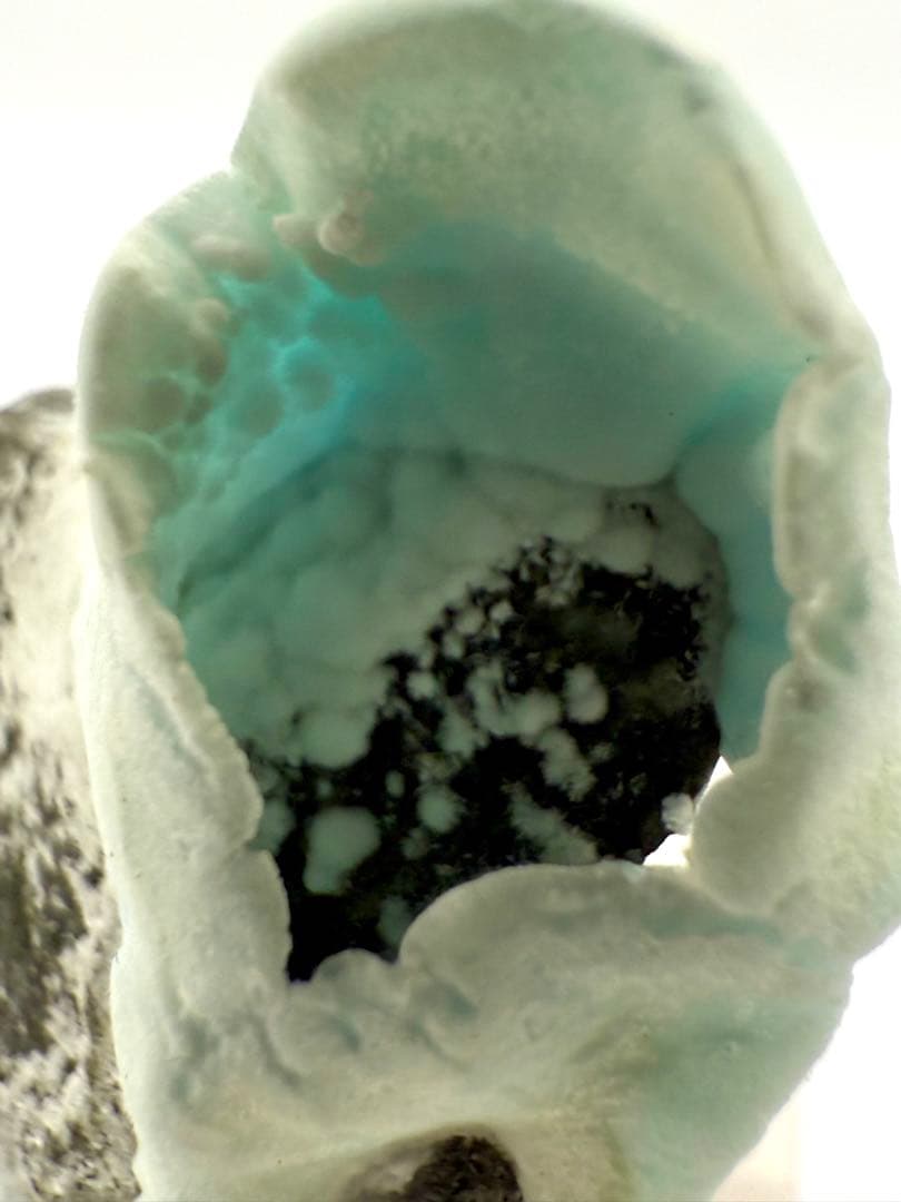 ブルー アラゴナイト 霞石 カップ 原石 鉱物 標本 天然石 - メルカリ