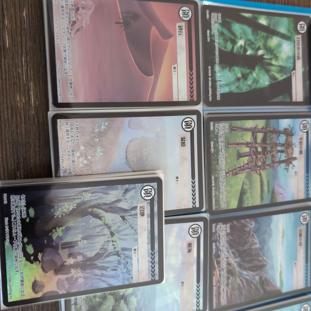 【大量追加しました】アニマルカードゲーム　領土カードPR クラファン限定