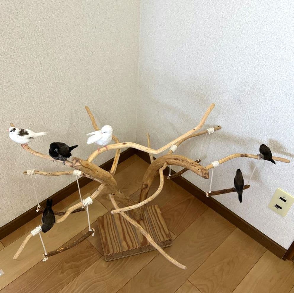 天然流木 No.4 バードアスレチック ① ぽこなつページ バード