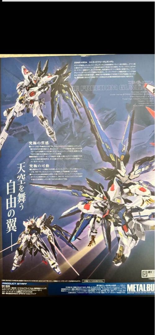 メタルビルド L BUILD ストライクフリーダムガンダム2024未開封