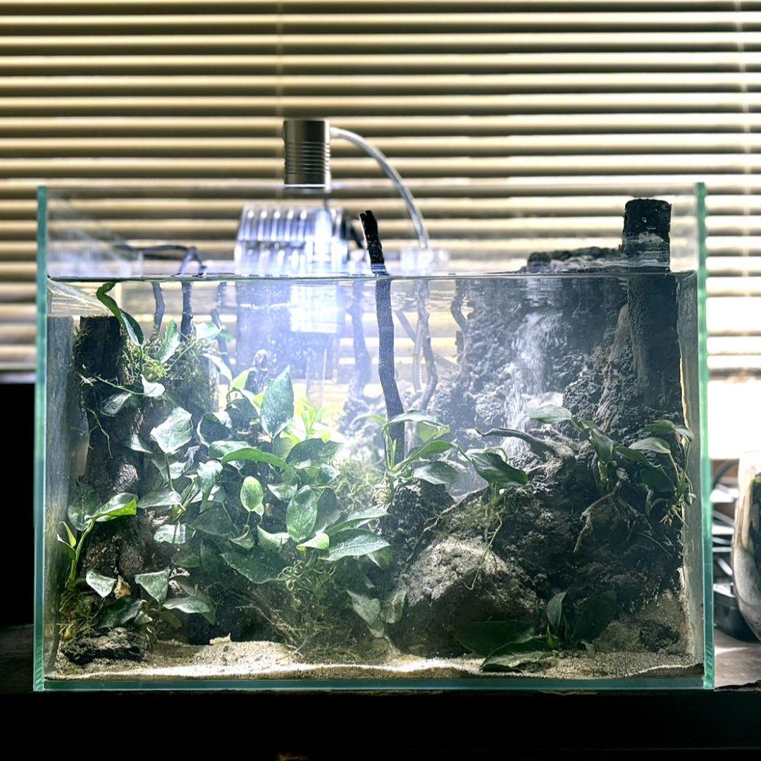 砂の滝の流れるアクアテラリウム アクアリウム No.1137 砂の滝の流れる