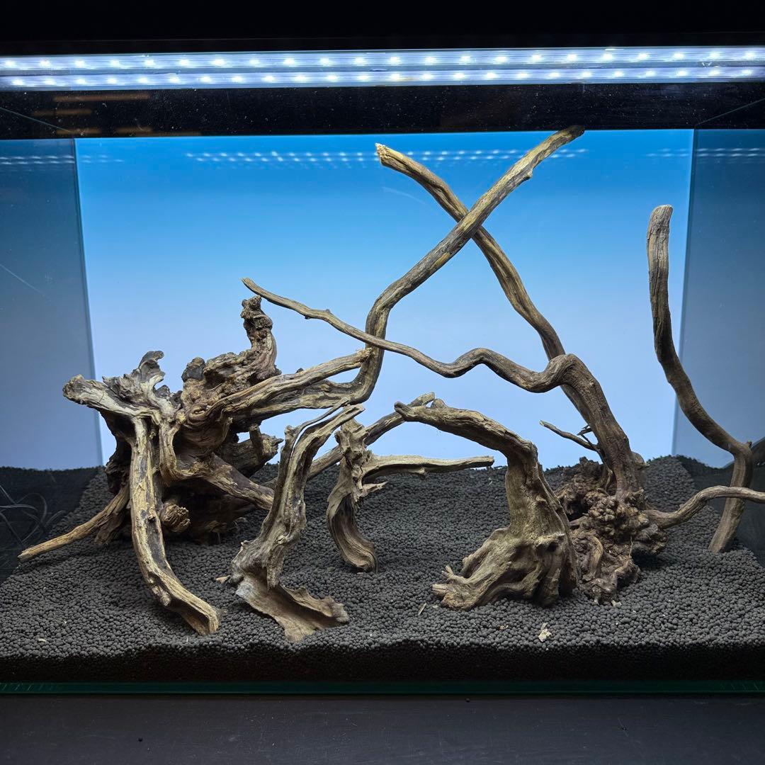 MSRW-7175スリムウッドレイアウトセット 60cm水槽用流木 アクアリウム