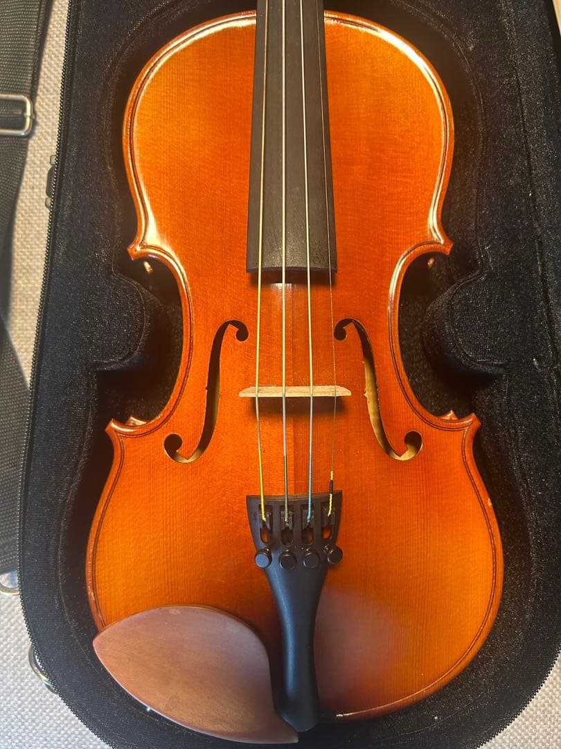 カルロ・ジョルダーノ バイオリン VS-2 1/2 2019年