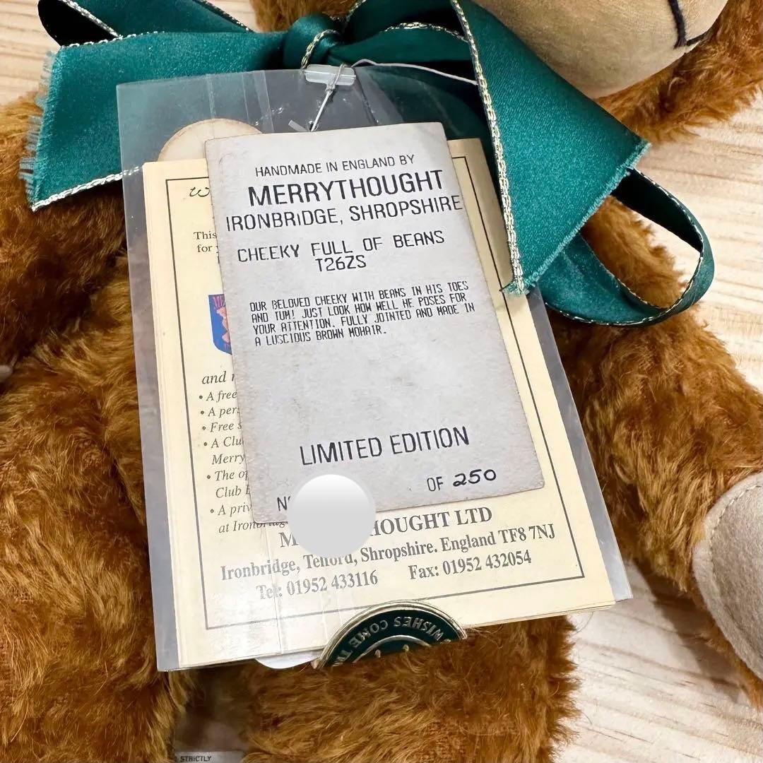 メリーソート チーキー フルオブビーンズ ビーニー 中サイズ 500体 限定