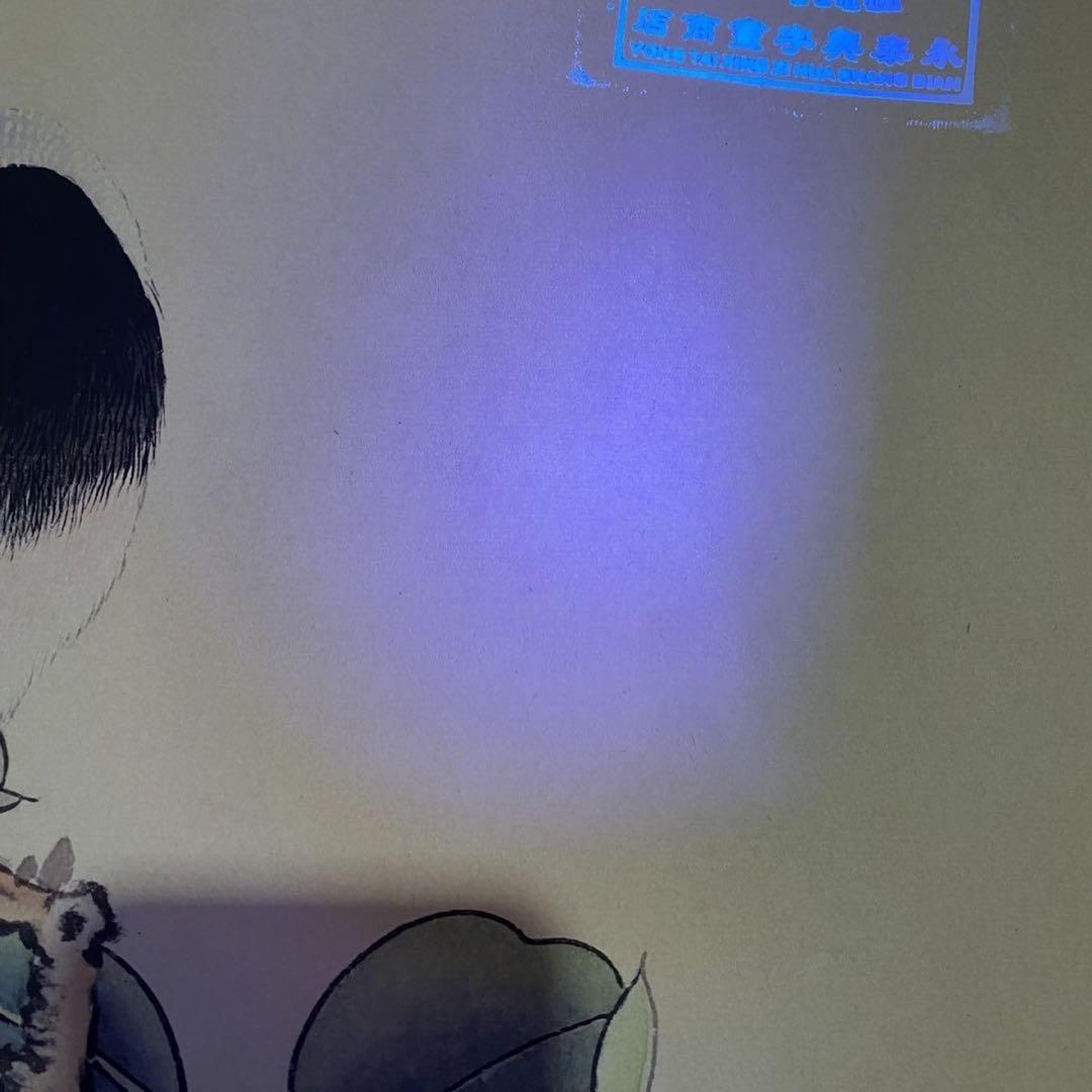 四尺 中堂 花鳥画 平安双寿図 郎世寧風 宣紙 表装済み 証明書付