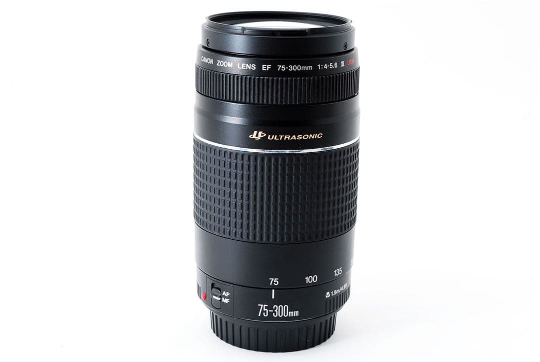 望遠レンズ/キャノン/イベント/スポーツ/Canon EF75-300㎜