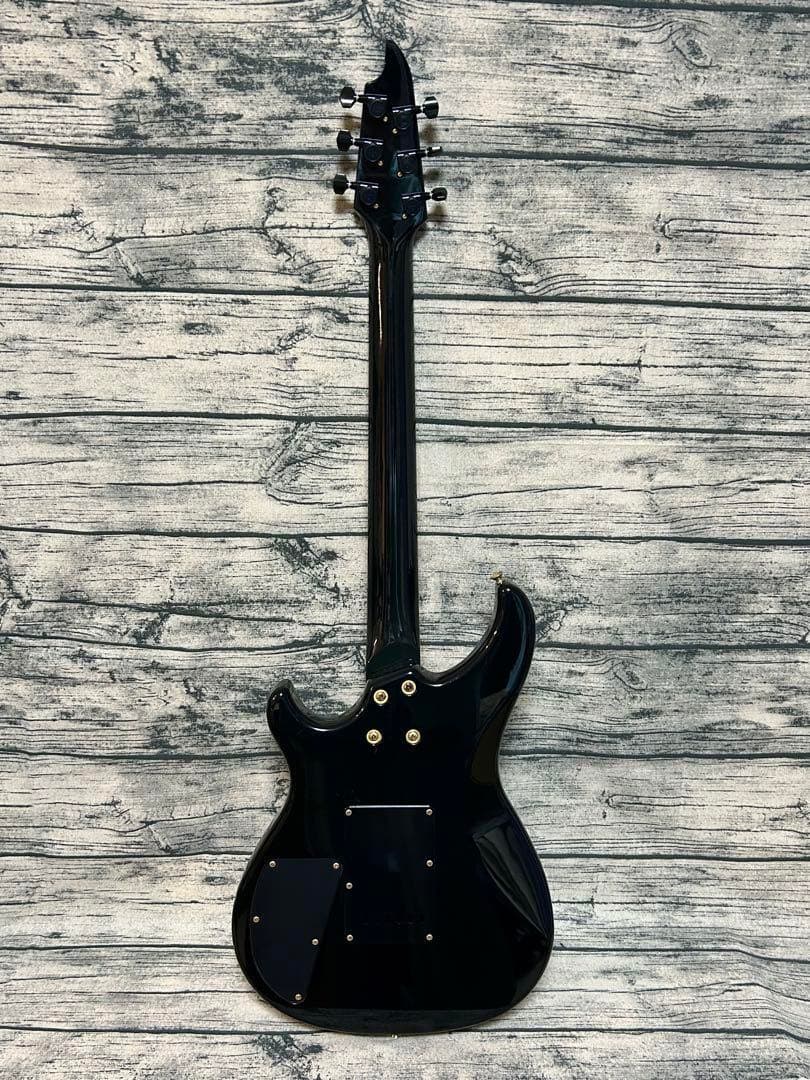 Bill Lawrence BY1R-60G 五十嵐 美貴シグニチャーモデル - メルカリ