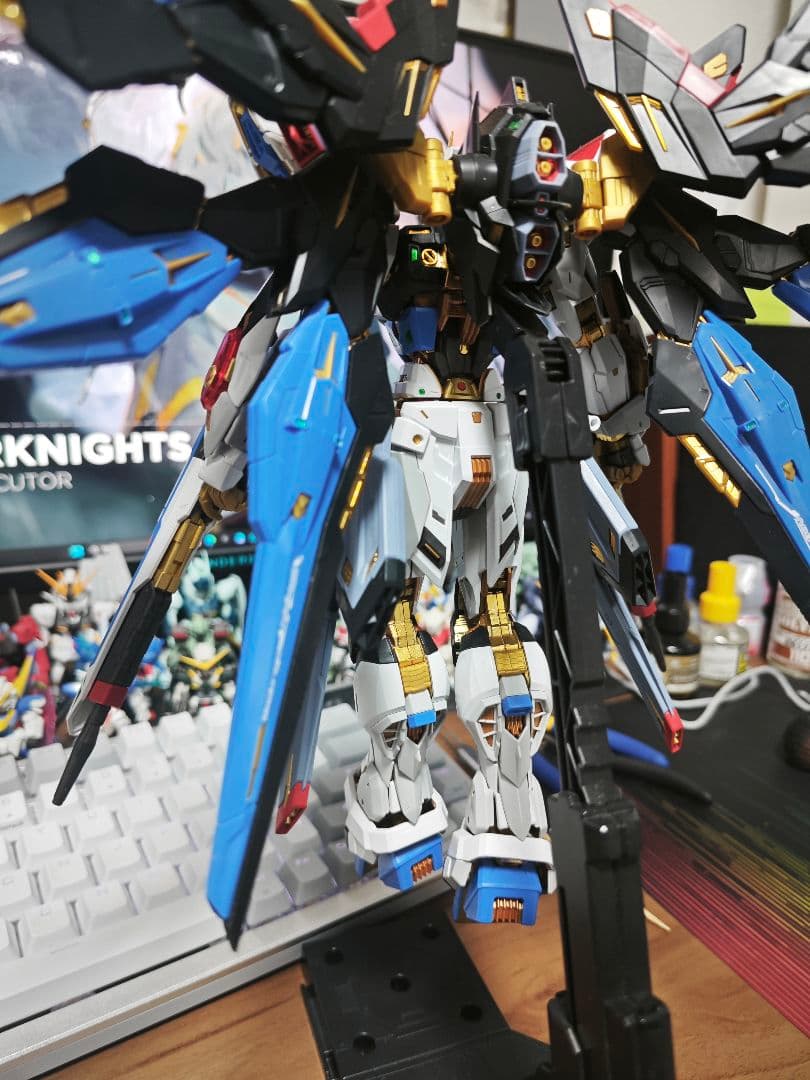 mgex ストライクフリーダムガンダム 組み立て済み